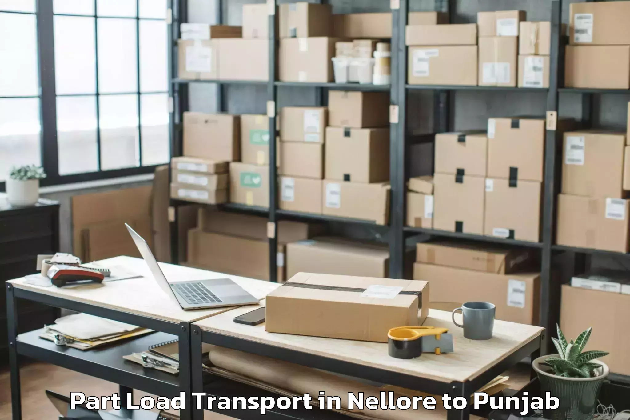 Professional Nellore to Rupnagar Part Load Transport